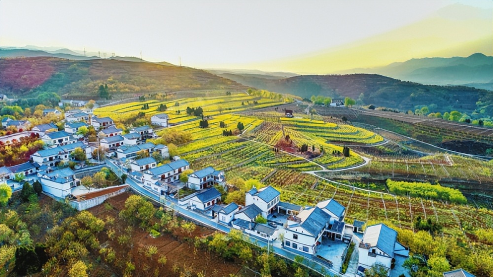 项目为王效益优先,项目为王安阳