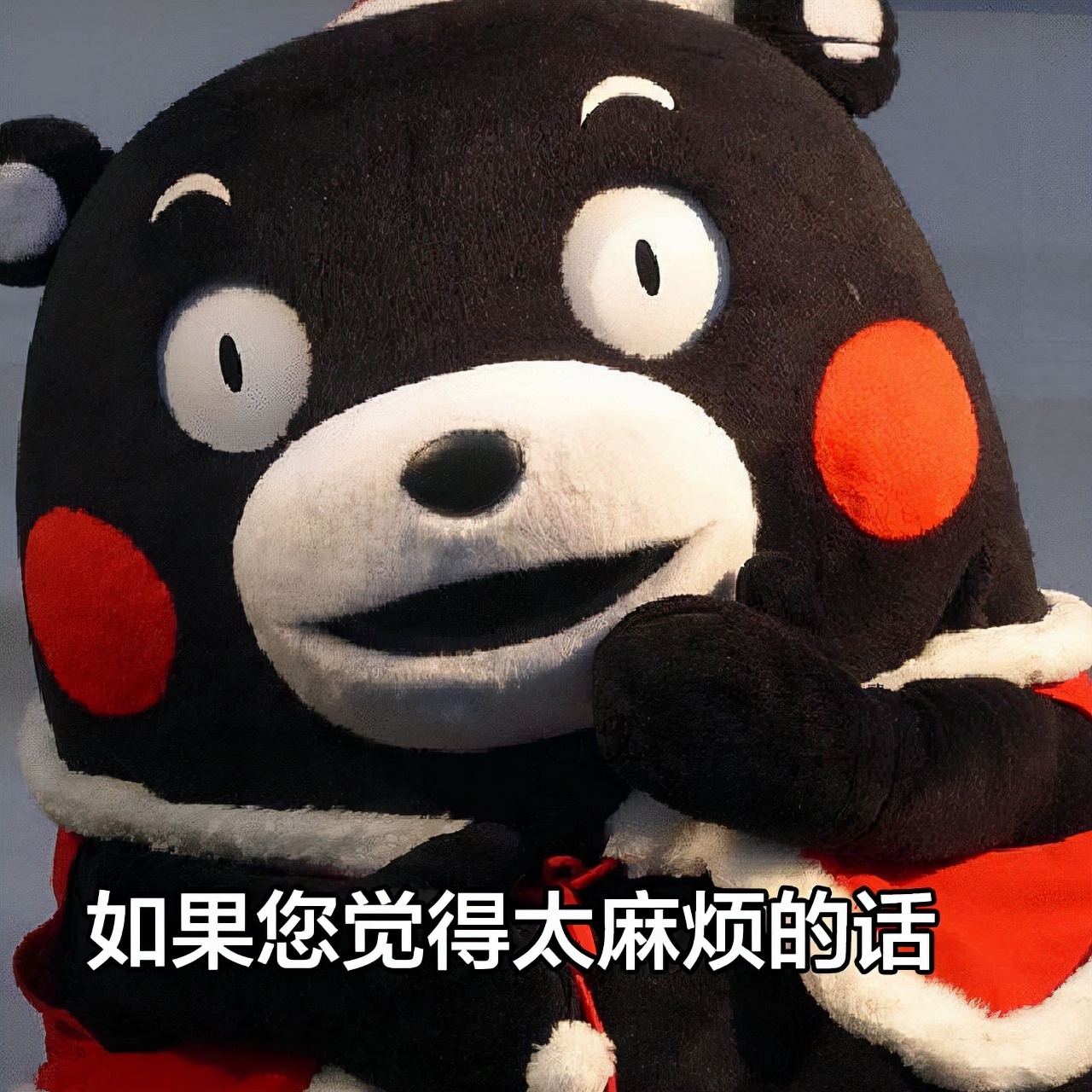 wildfieldhealth乳清蛋白粉,wildfieldhealth怎么样