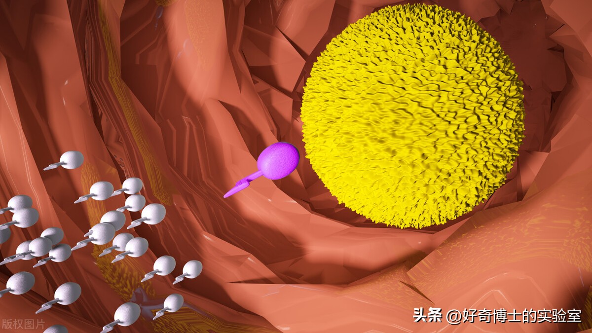 超市小票的纸有毒吗,超市小票到底有没有致癌物