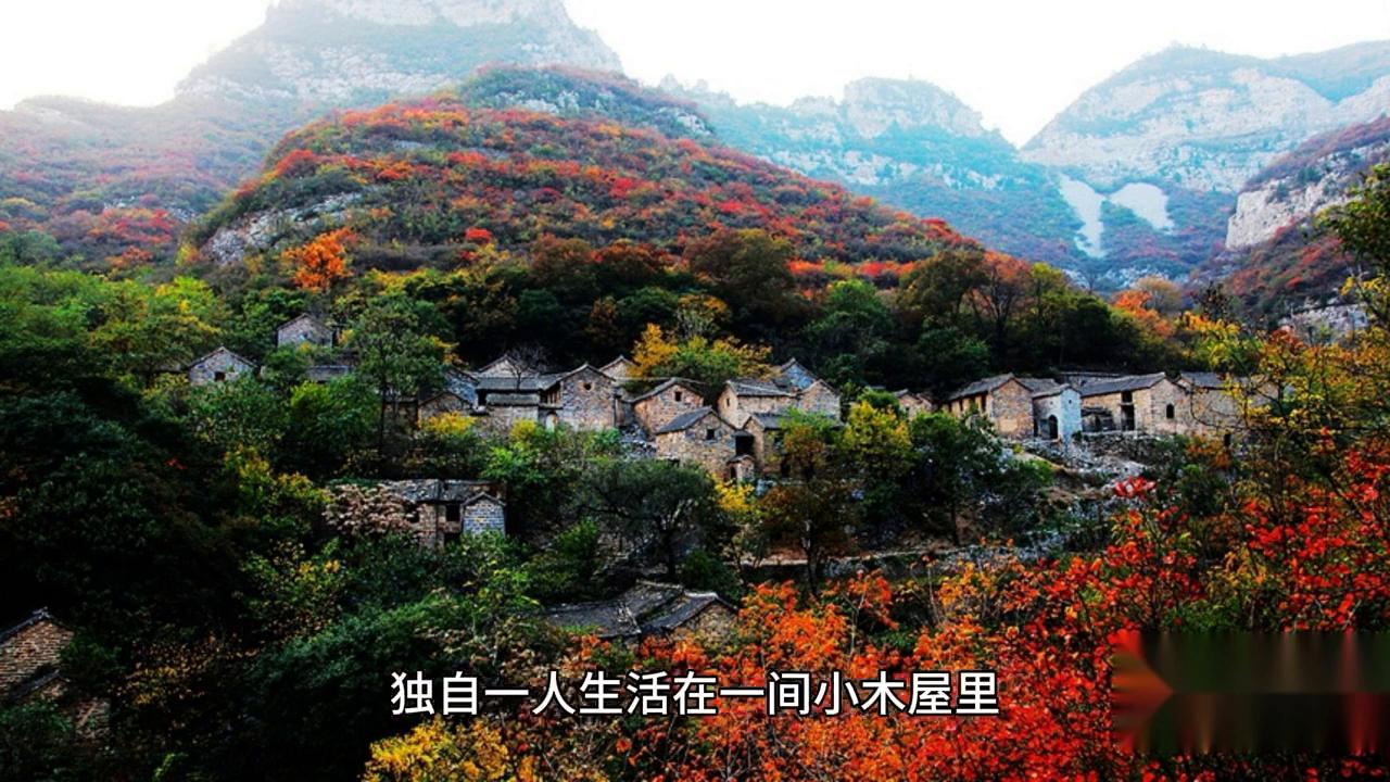 民间故事寡妇算卦,民间故事寡妇与厨师