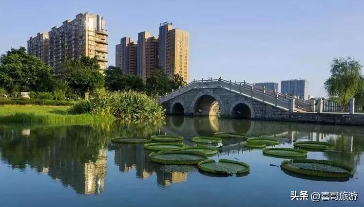 温州龙湾的旅游景点介绍图片,温州龙湾区一日游最佳景点