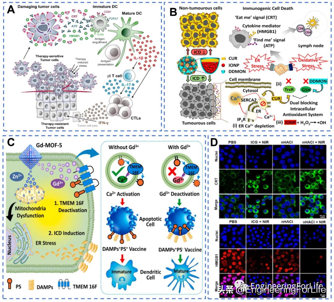 纳米材料抗肿瘤药物怎么用,新型纳米材料治疗肿瘤
