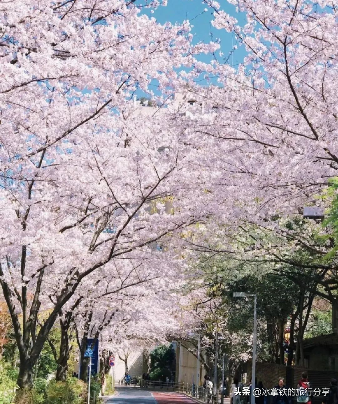 全球第八家宝格丽,最新的宝格丽酒店