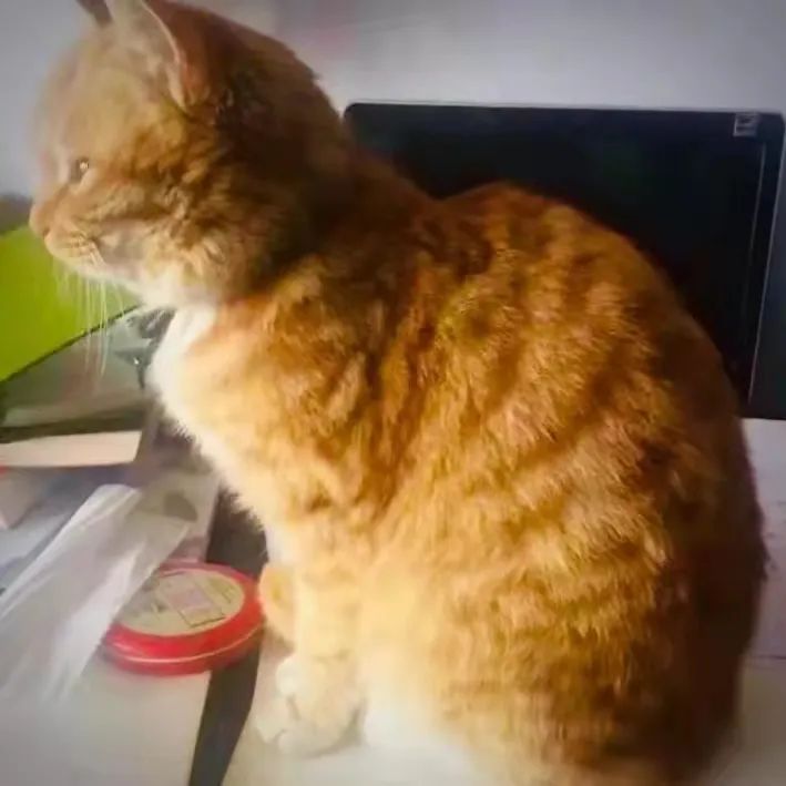 hiv感染者我该如何开心活着,对于艾滋病感染者我们怎么做