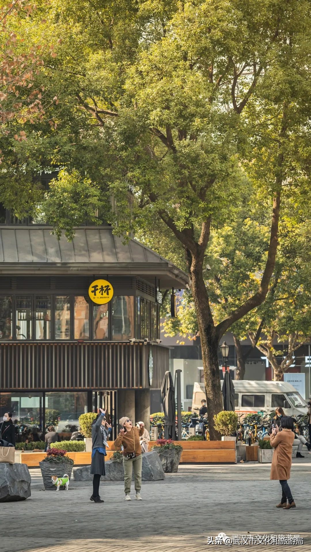 来武汉一定要去一趟东湖看荷花,来武汉看樱花吧