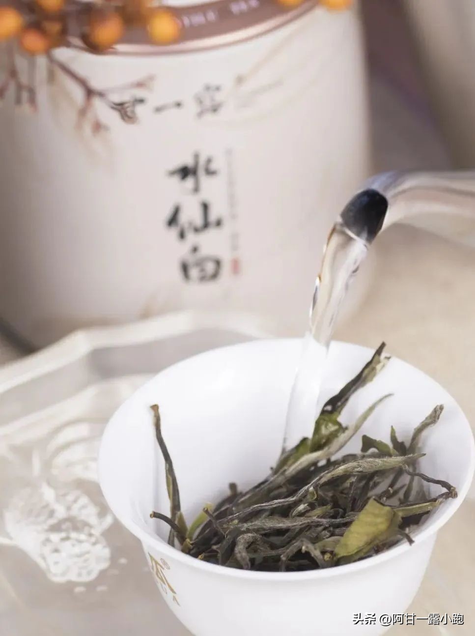 建阳小白茶现状,建瓯北苑贡茶的现状