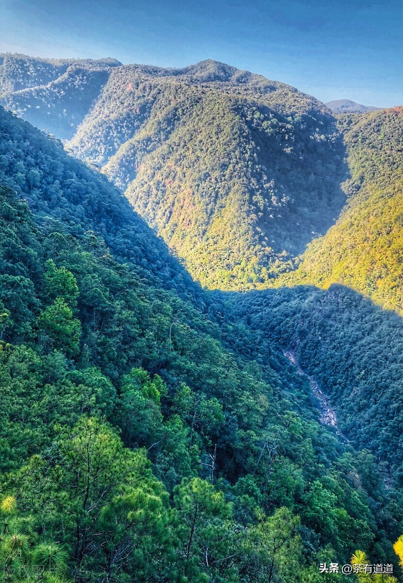 茶马古道寻茶香,茶马古道寻觅云雾