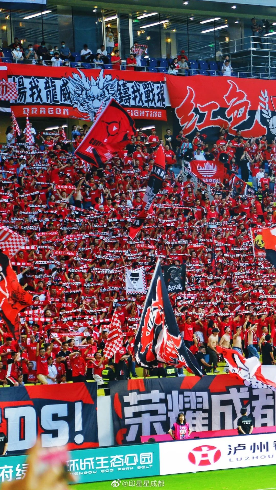 成都蓉城足球最新动态分析,成都蓉城足球历史比分