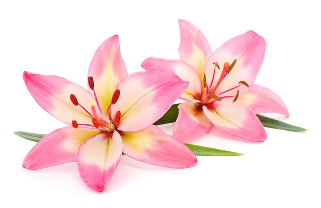 人到中年不要把亲戚看得太重,人到中年必须学会这八件事情