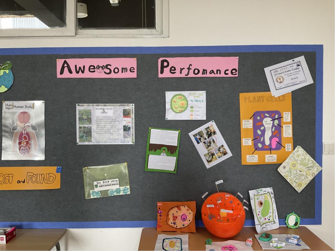 给教室“施魔法”！成都青苗教室装饰比赛，创意非凡