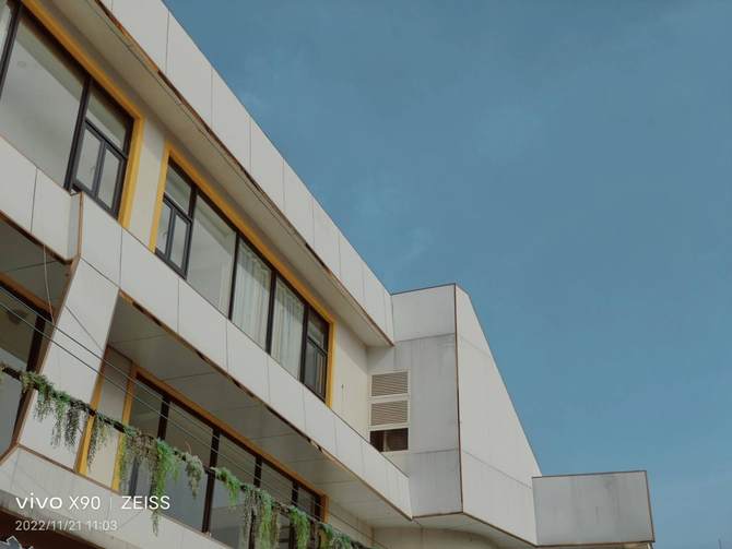 vivox90测评最新,vivox90最新体验测评