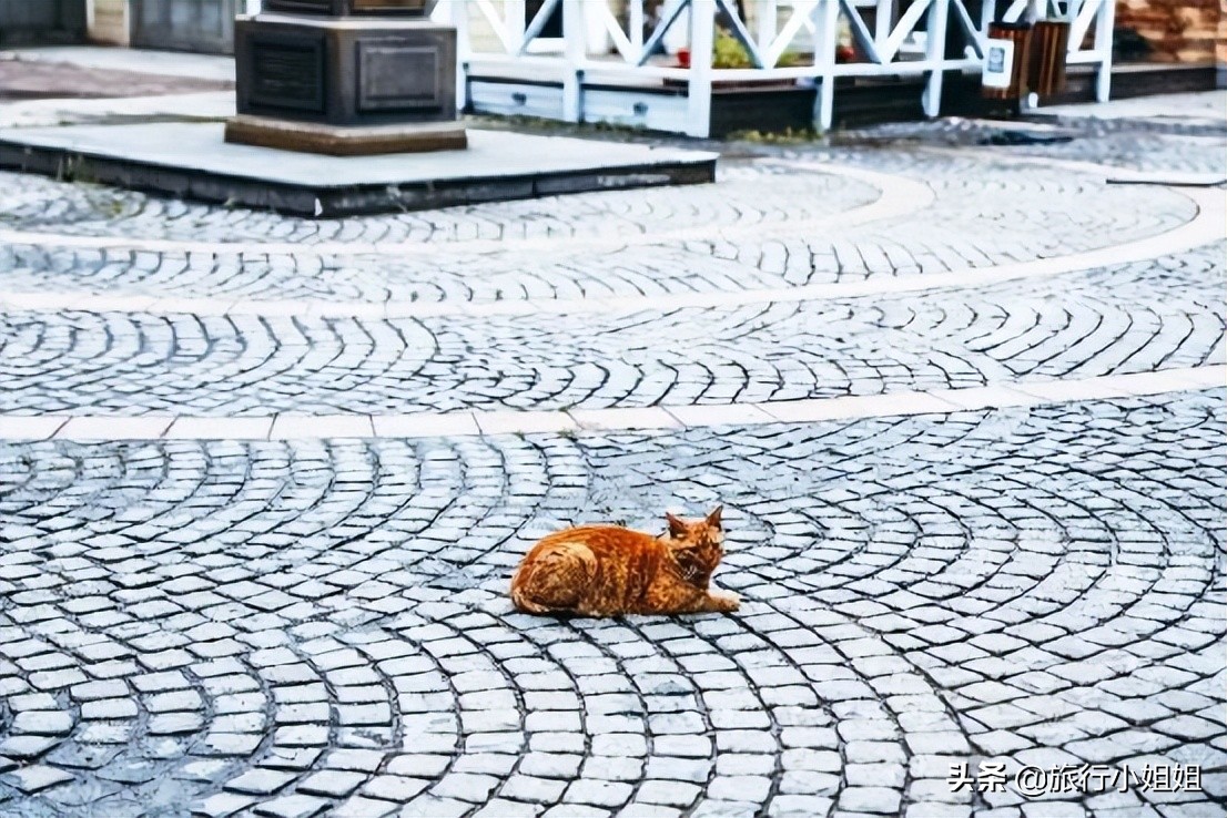 夏日海边微醺氛围感,滨城风光秀丽浪漫气息爆表
