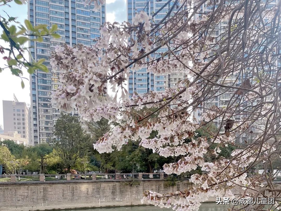 地铁3号线能到的美景地方,一号线地铁直达的风景