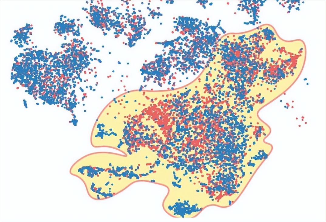 研究表明每天行走的步数,研究发现走路越快寿命越长