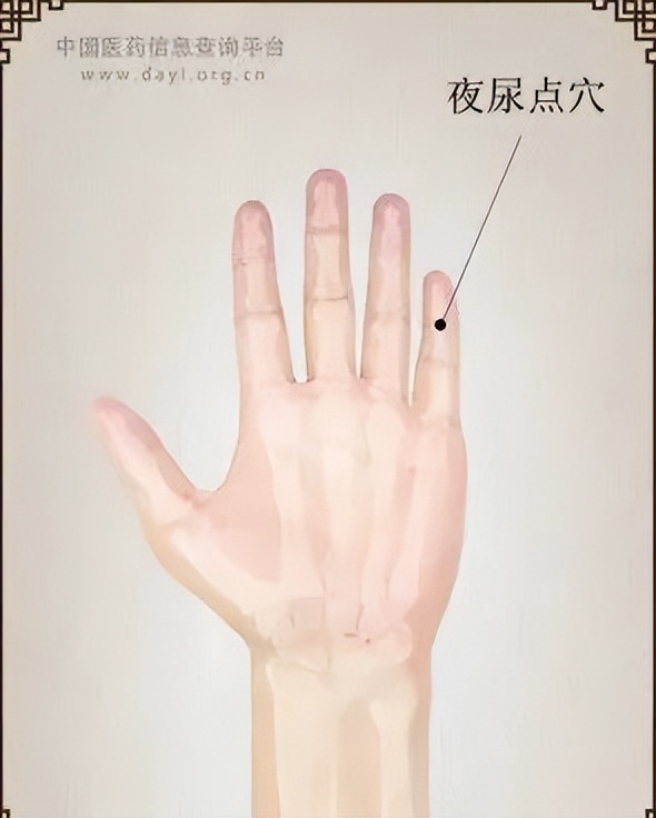 遗尿三针,小儿遗尿针灸穴位讲解视频