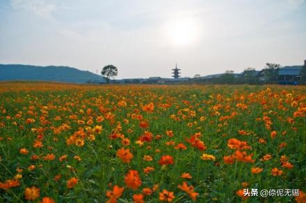 无锡拈花湾禅文化小镇,拈花湾禅意小镇和灵山大佛