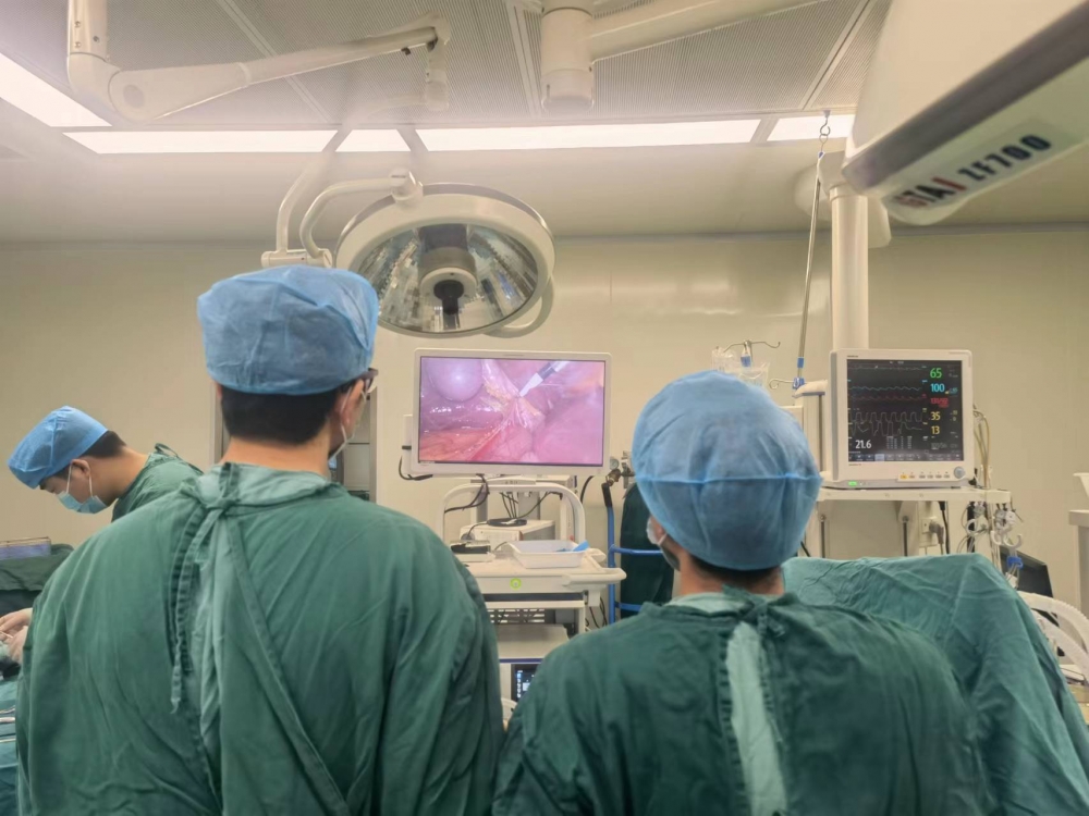 改善患者就医体验护理创新,改善患者就医体验主题活动