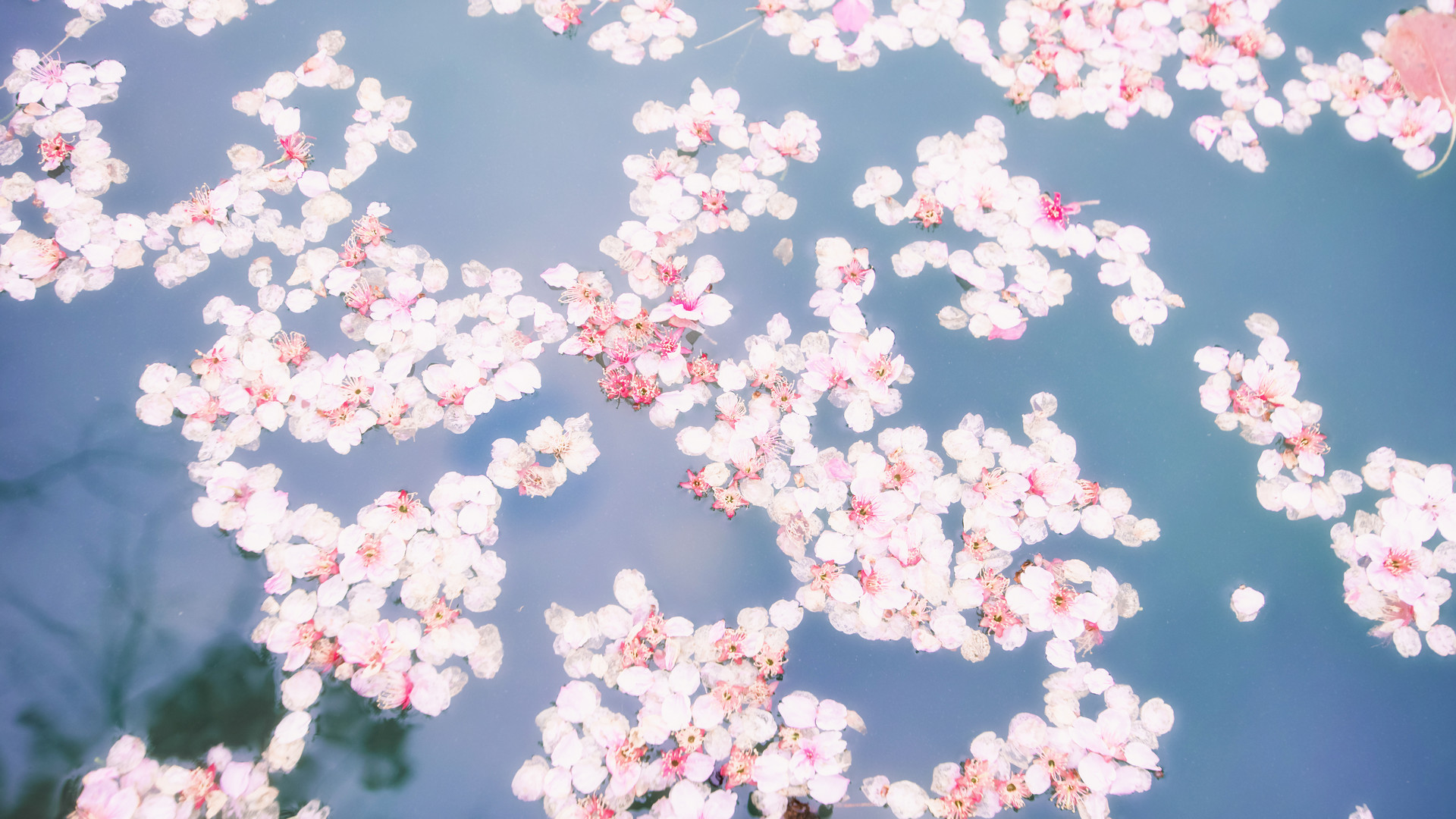 遭人陷害时，别急着撕破脸，先做好三件事