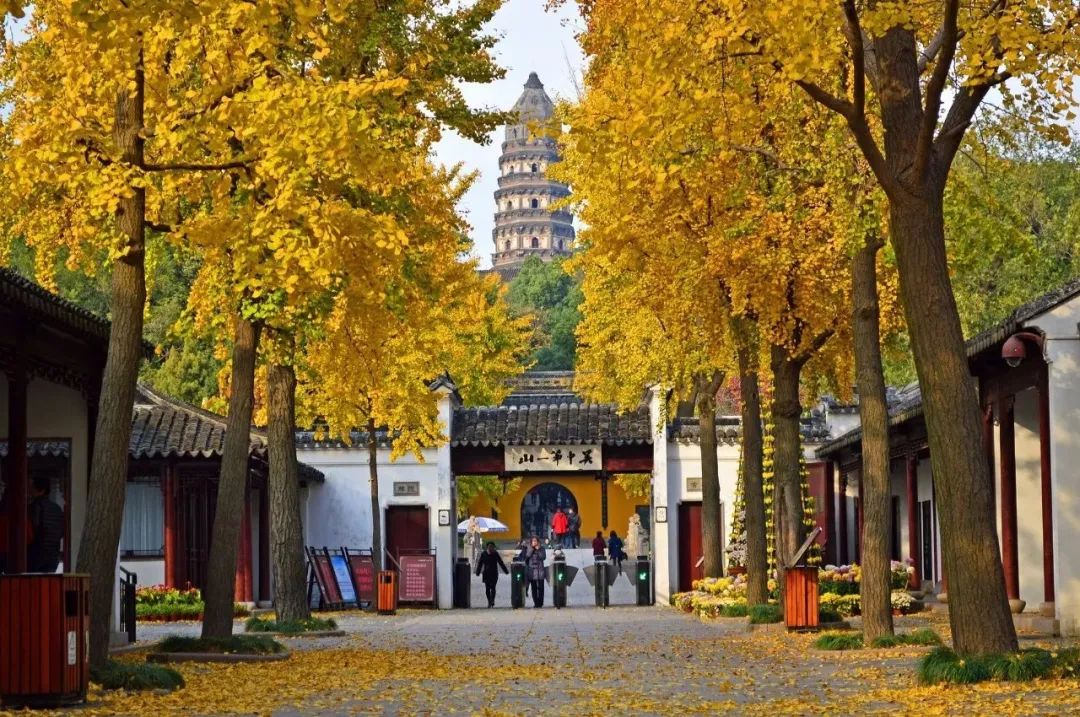 苏州自由行旅游团,苏州二日游旅游攻略旅行团