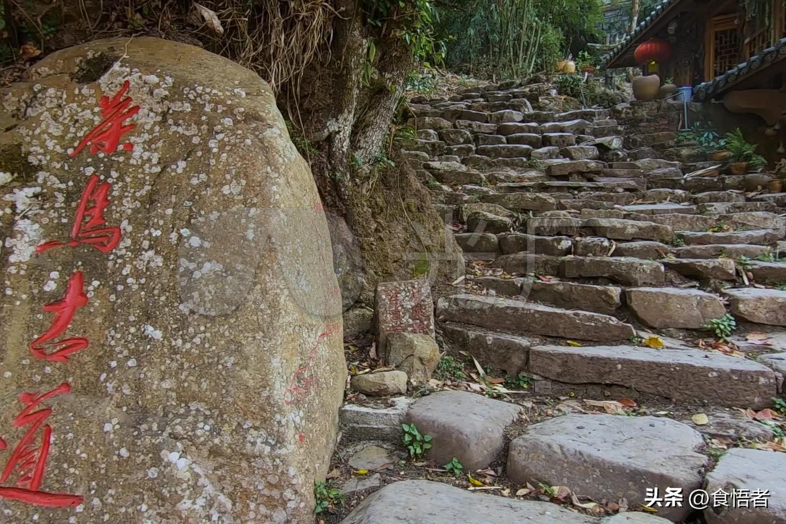 云南绿海明珠普洱,普洱市旅游攻略美食