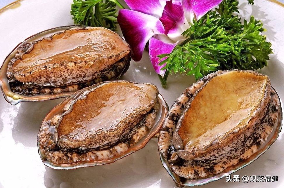 诏安秋天吃什么海鲜,福建各种海鲜图片大全