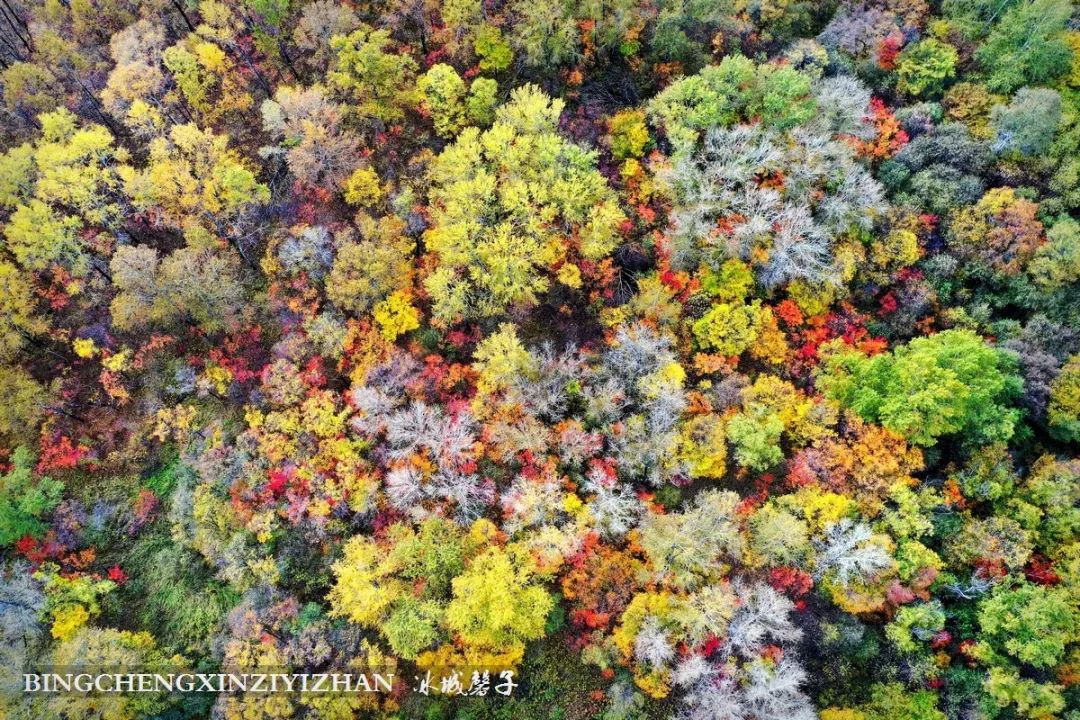 秋天大兴安岭最美的地方,秋天美丽的大兴安岭