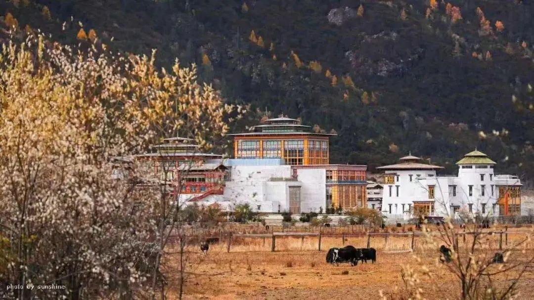 最美西藏十大景点,藏北旅游景点推荐