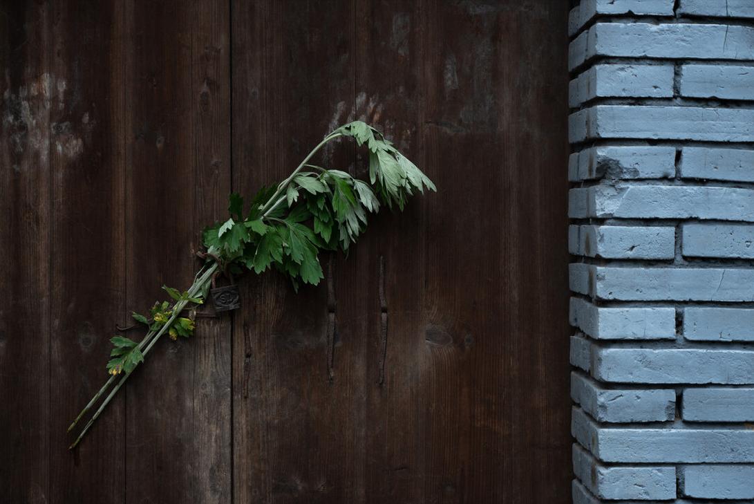 端午挂艾草单数还是双数,端午挂菖蒲艾草有什么讲究