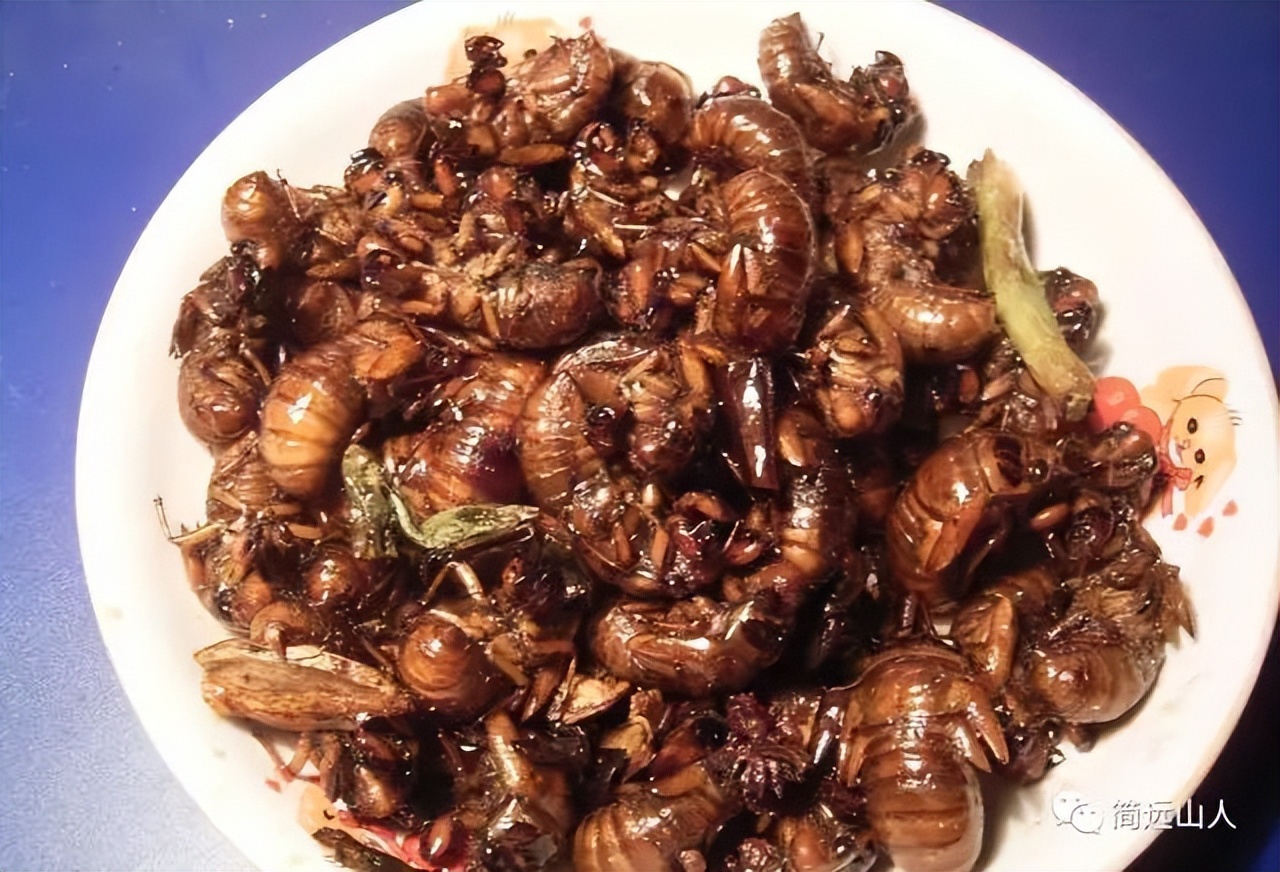 捉知了童年趣事作文350字,儿时捉知了的那些趣事