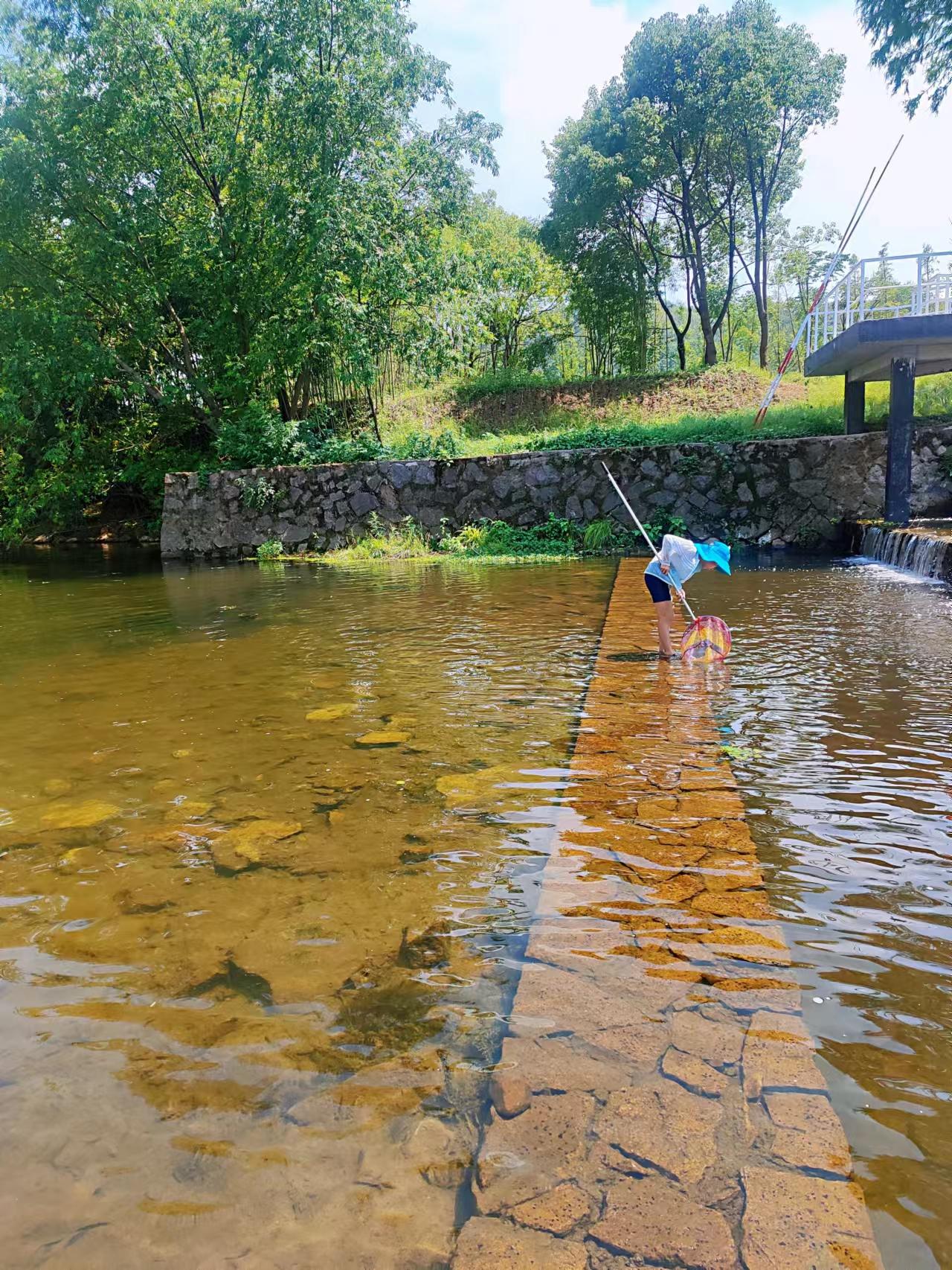 西塞山前白鹭飞图文,西塞山前白鹭飞风景