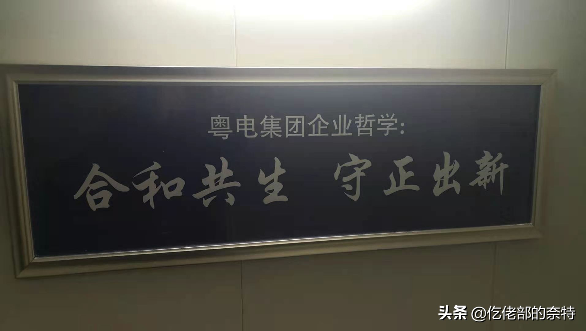 粤电之魂：原来我们都需要寻找这种有力量的组织