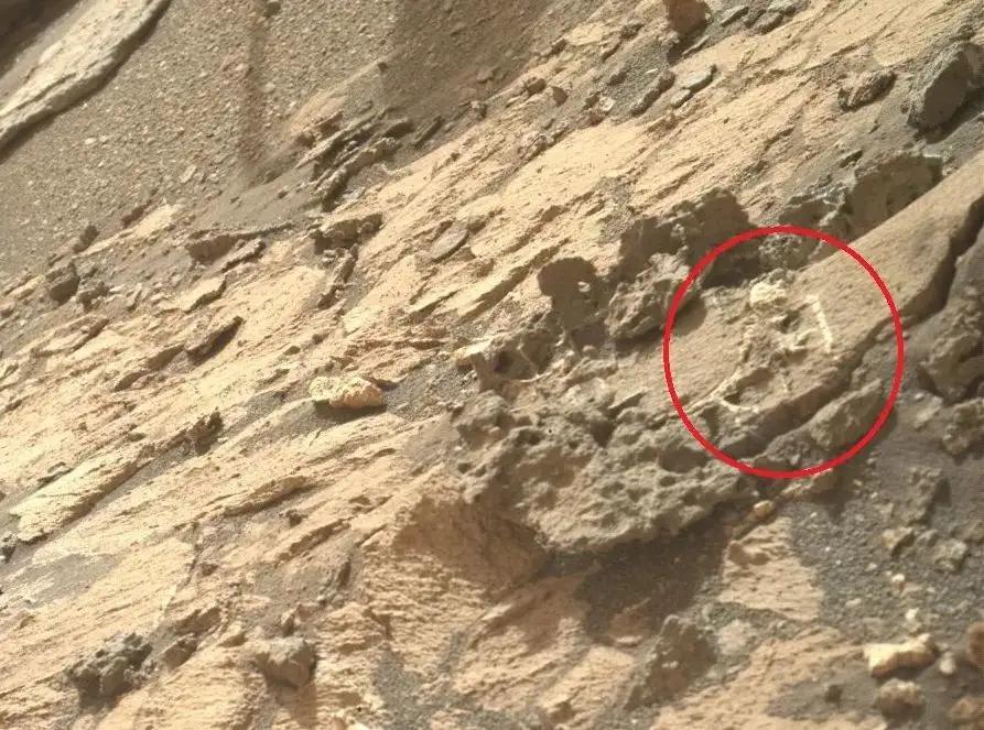 美国女子自言曾穿越到火星,美国穿越火星的女孩