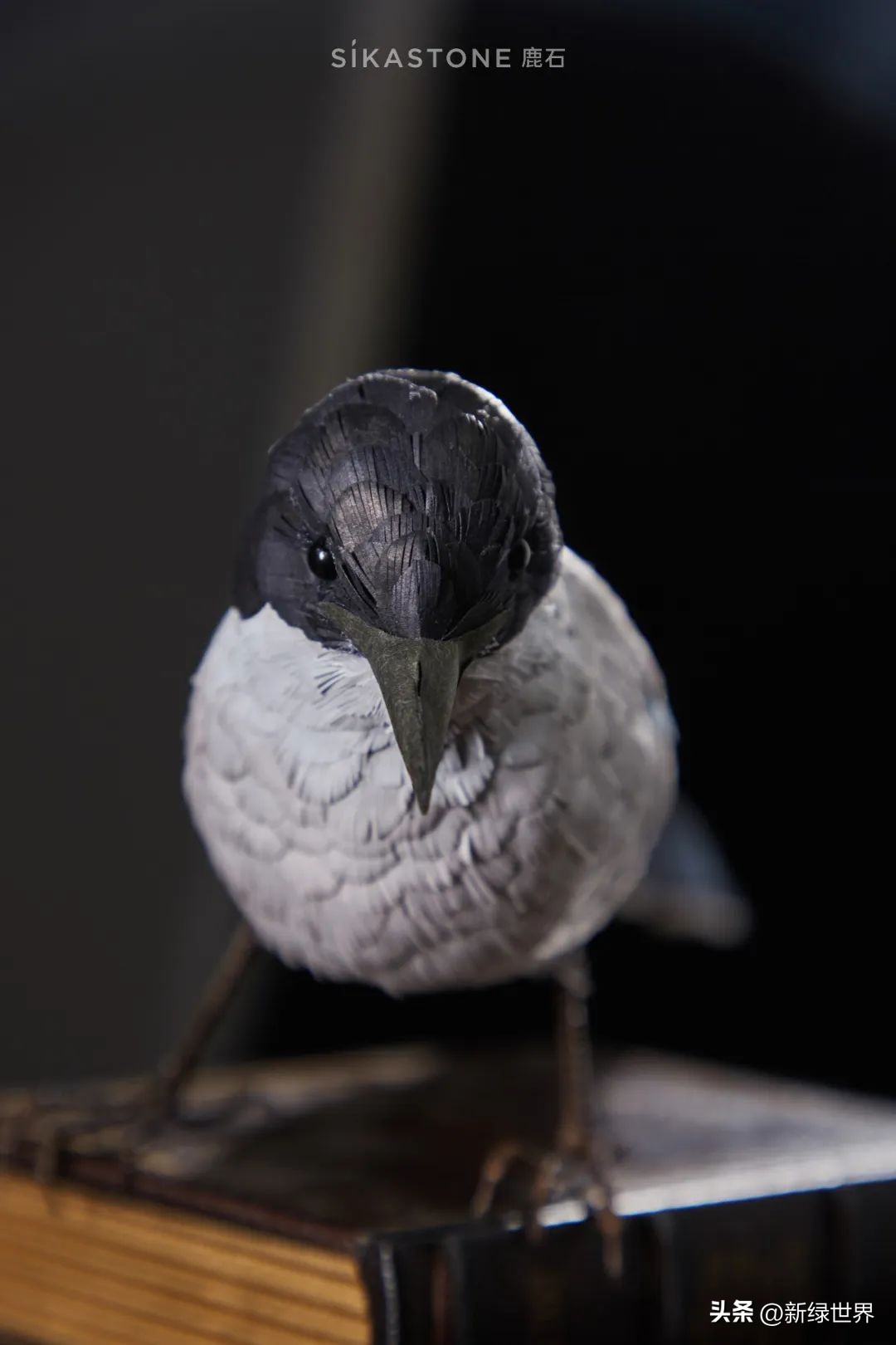 一组纸艺作品,令人惊艳的纸艺作品