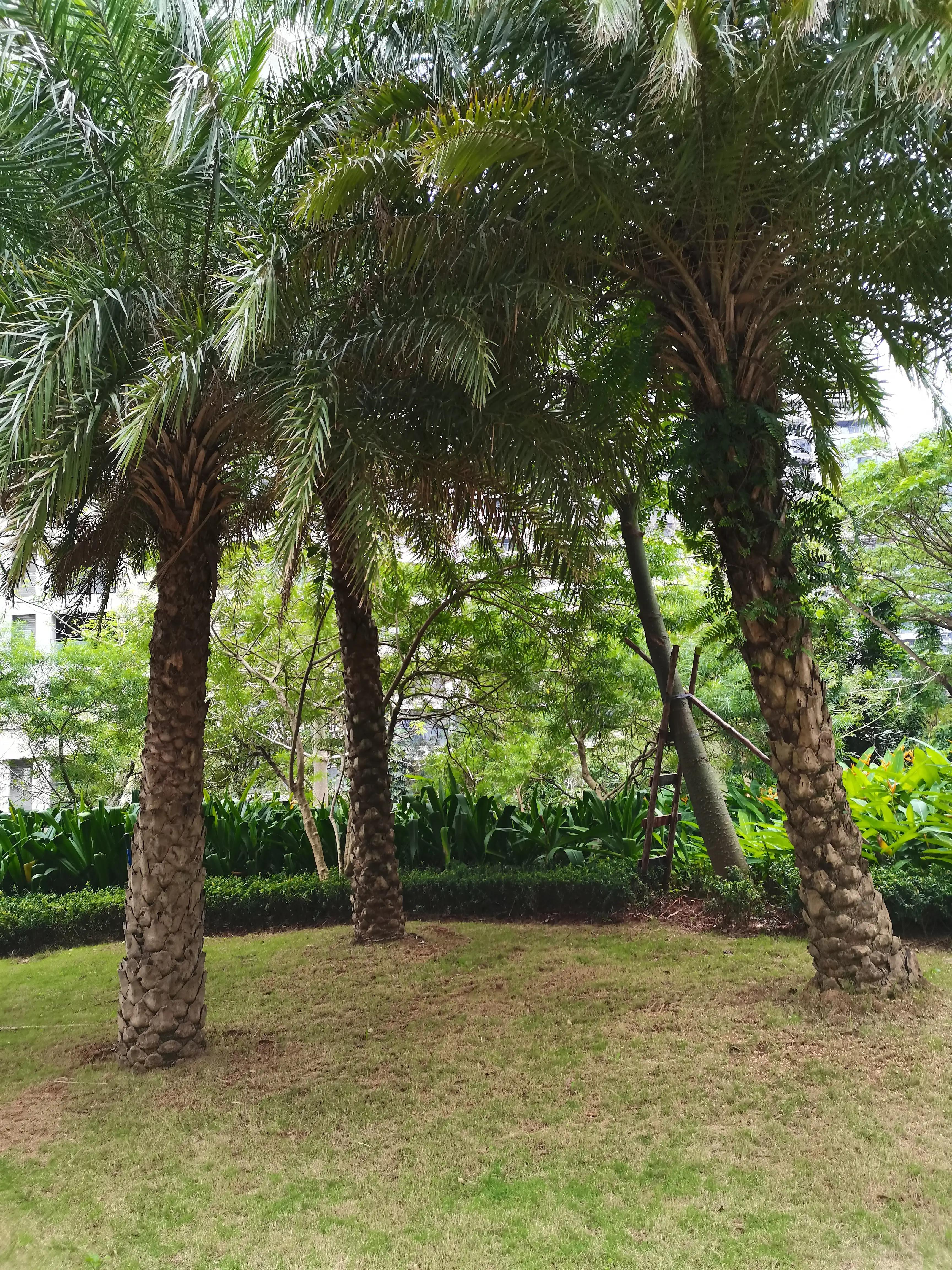 在这个世界上有多少与“老”字搭界的成语、俗语