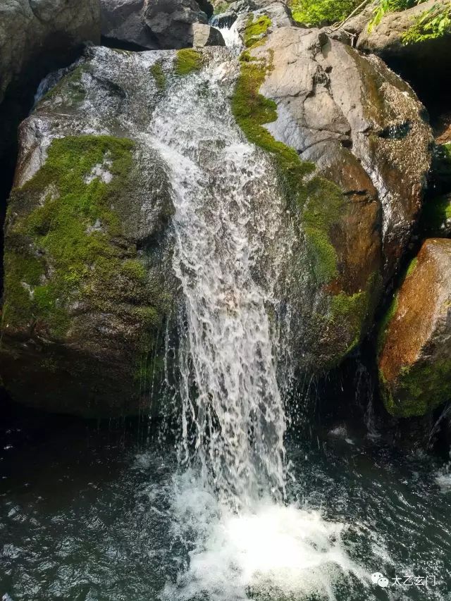 小五台山金莲花坡,小五台金莲花