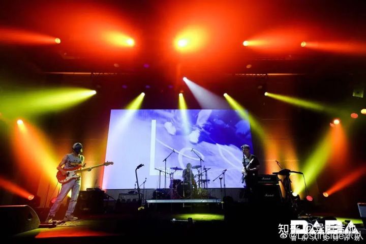 斑鸠的五种常见叫声,疫情下我学会了什么技能