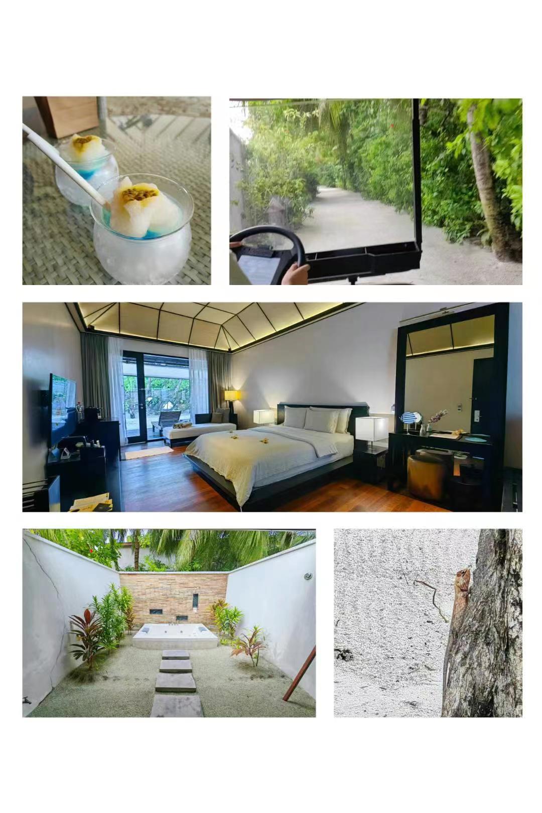 马尔代夫游记珊瑚岛蜜月,探寻马尔代夫蜜月岛的绝美景点