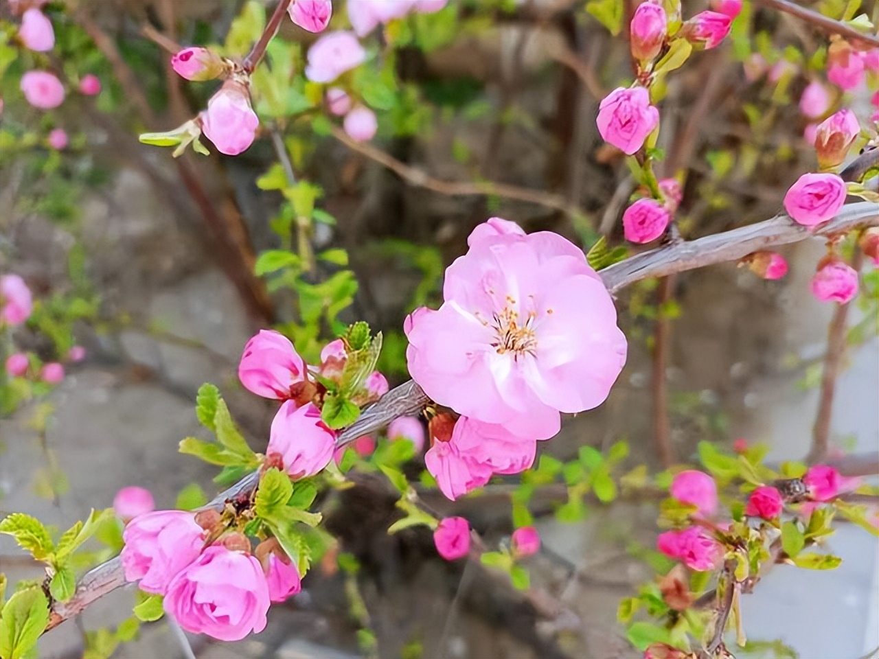 暧昧后说做朋友的都是烂人,和暧昧过的人不可以再联系