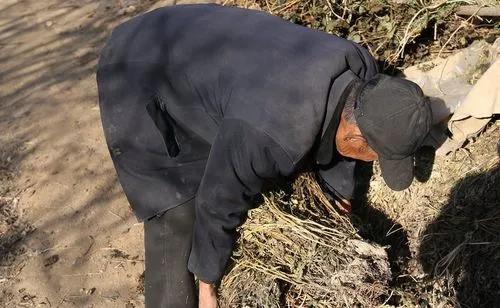 老人临终时的胡言乱语,为什么老人临终前会胡言乱语