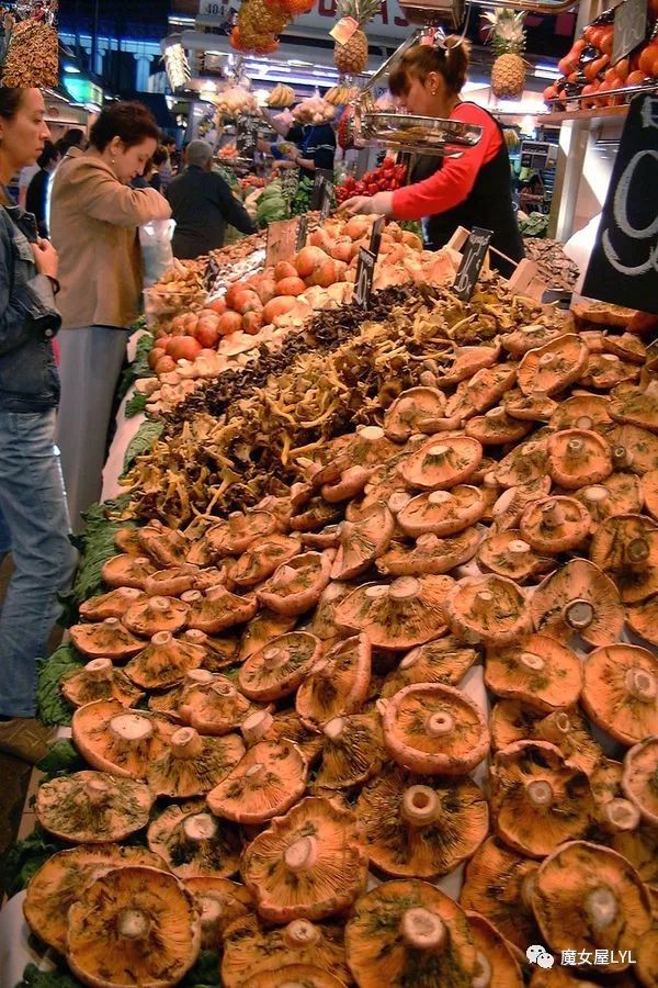 蓝色妖姬菌能吃吗,蓝色妖姬饮品图片