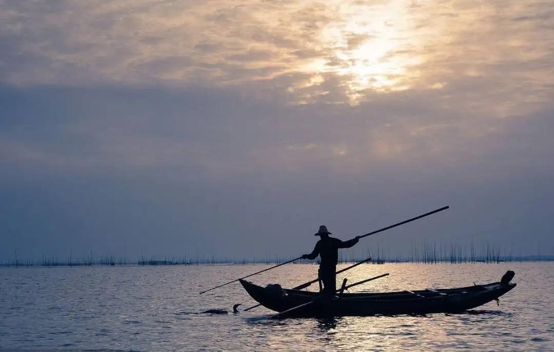 湖南的好酒有什么,湖南的酒