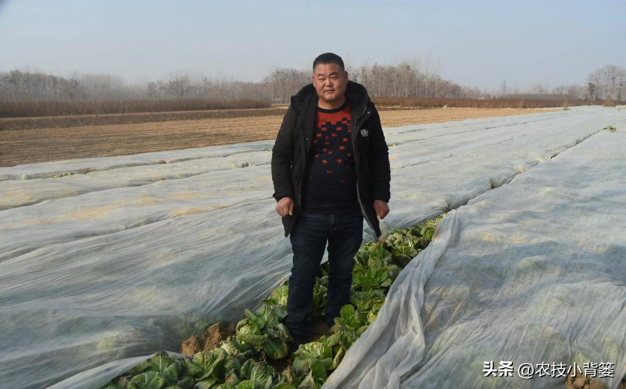 预防作物冻害最好的防冻剂,植物冻害了还能用防冻剂吗