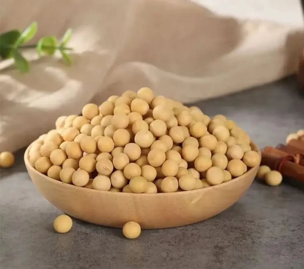 蓬莱有哪些老字号,烟台蓬莱老字号