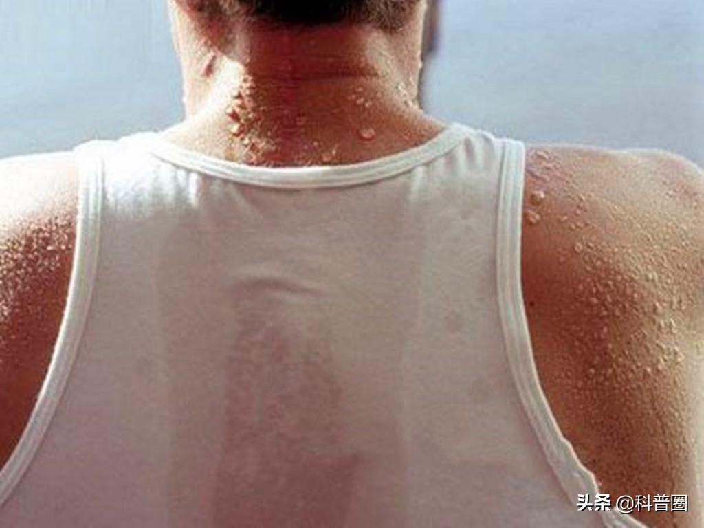 狐臭是怎么产生的？科学证实：有狐臭正常，没狐臭才是“变异者”