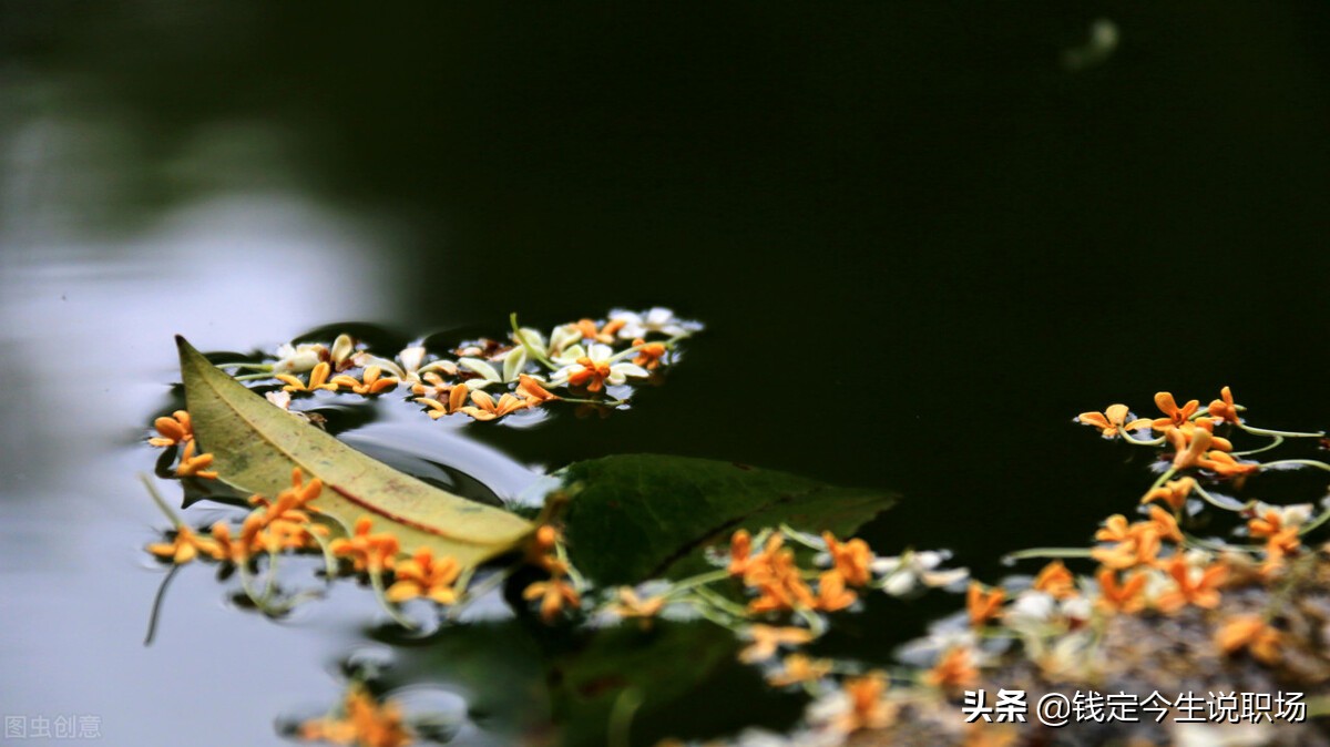 人生最好投资就是生小孩,人生赚钱副业