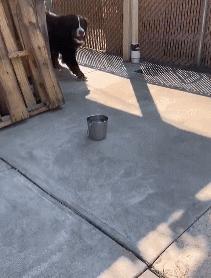 女厕的诡异之处,女厕所发现怪异男尸