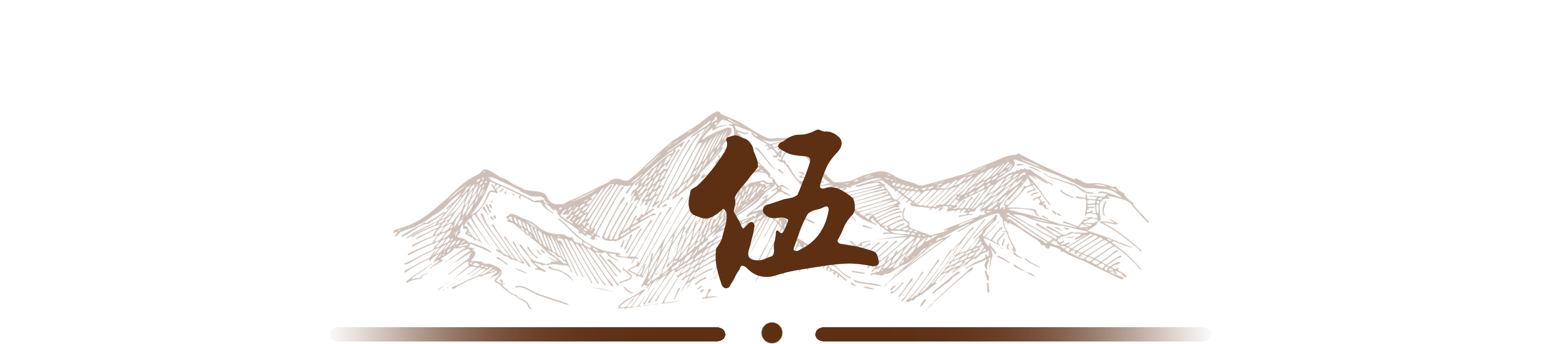 北大数学天才柳智宇出家学了什么,数学天才柳智宇出家经历