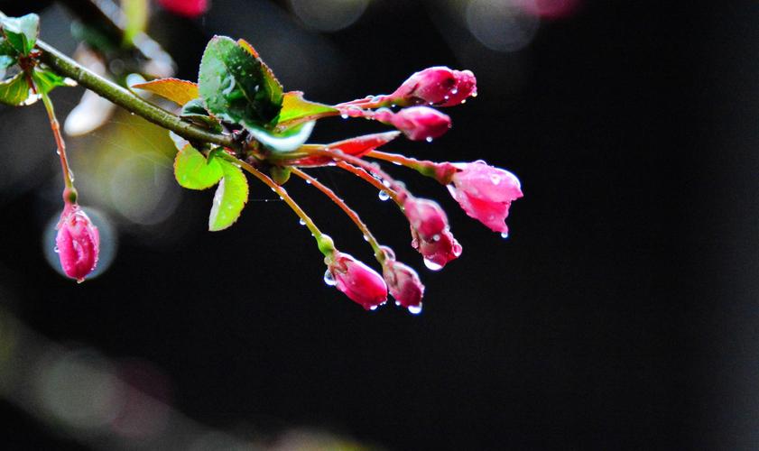 励志善行的作文,善行如雨润物无声演讲稿