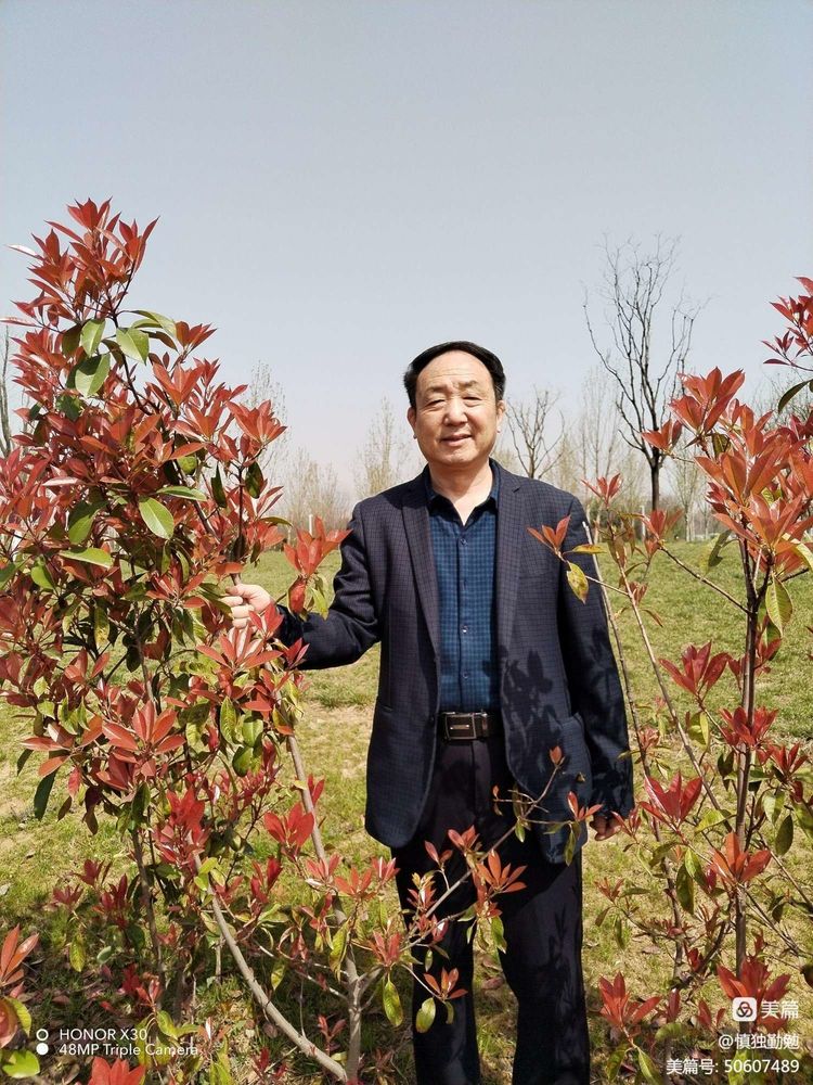 周秀良书法家篆书作品欣赏,周秀良篆书全集