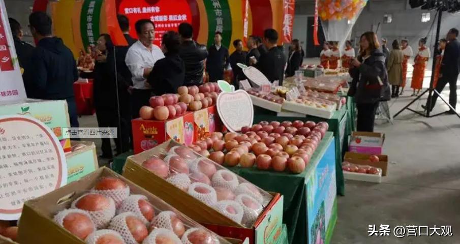 瓜果之乡的苹果,辽宁盖州苹果介绍